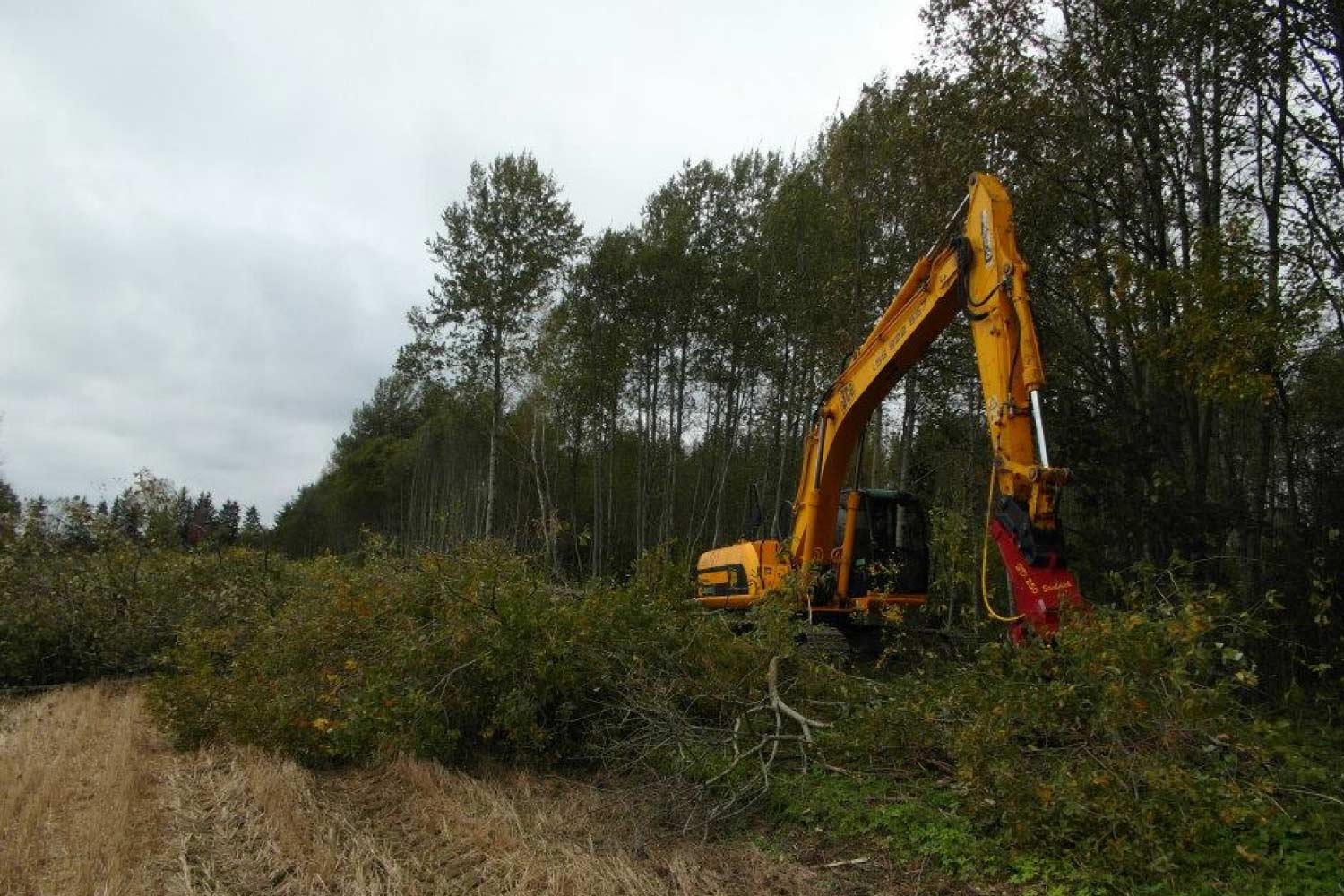Raadamine ja maa ettevalmistus