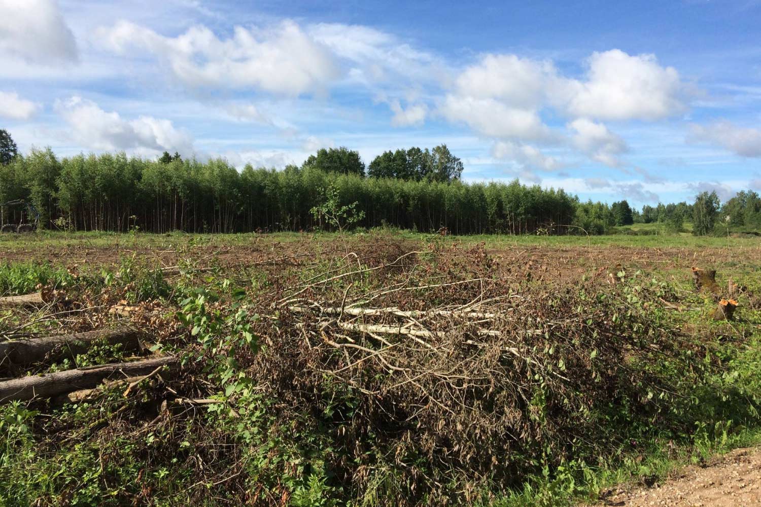 Raadamine ja maa ettevalmistus