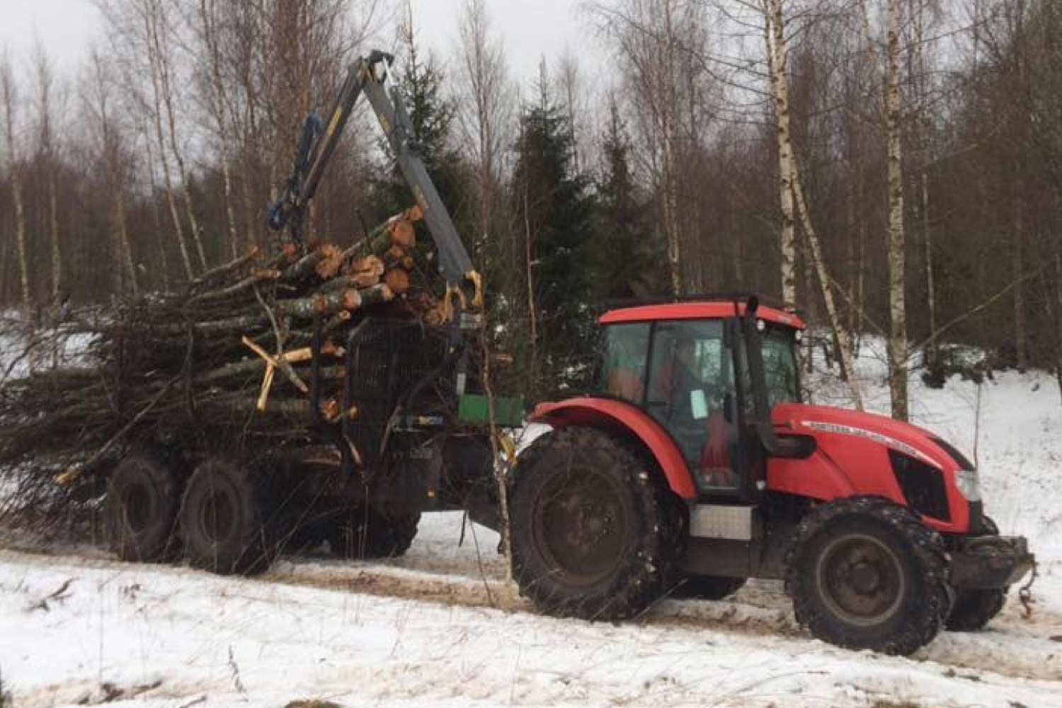 Kasvava võsa kokkuost