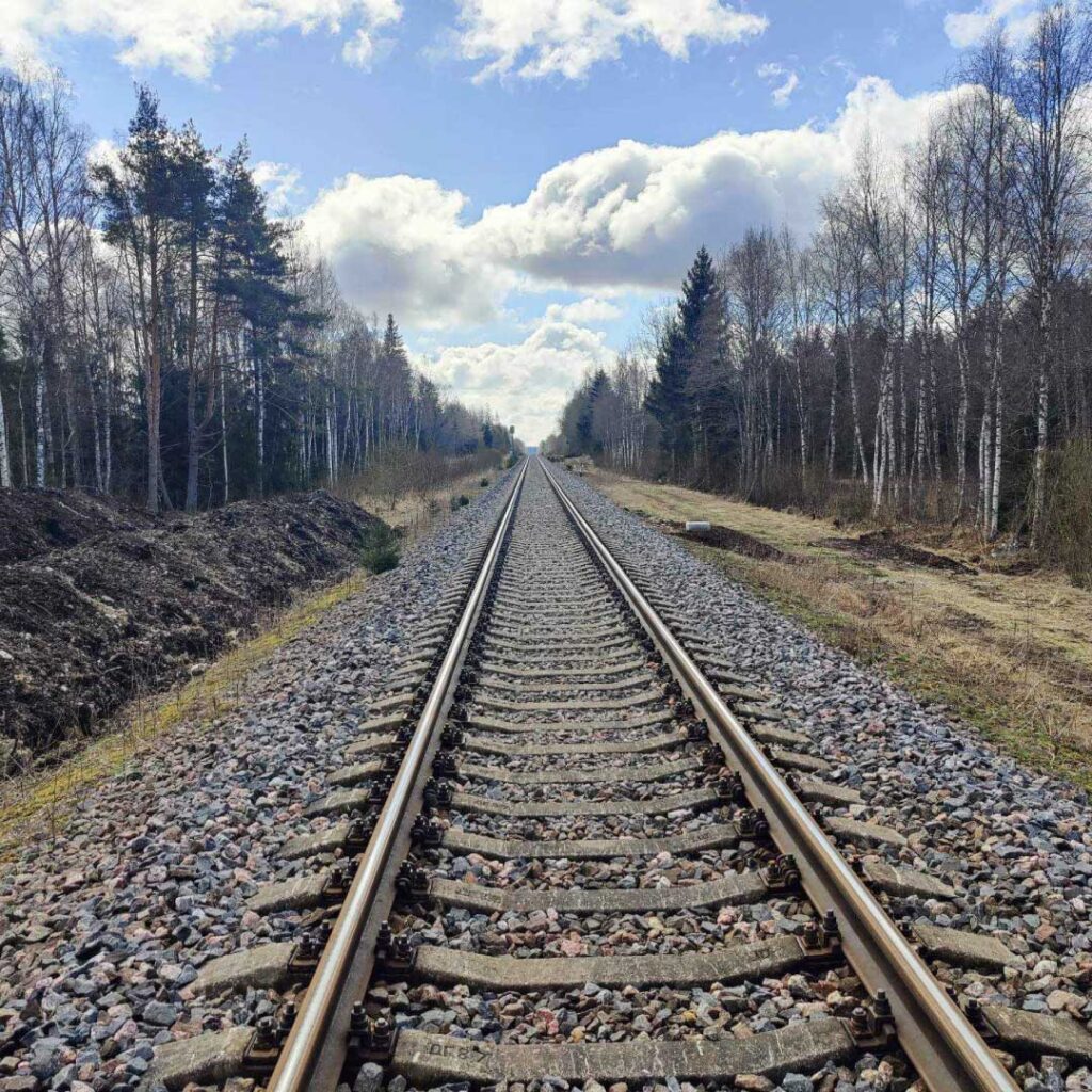Kiltsi–Vägeva raudteelõigu raadamistööd