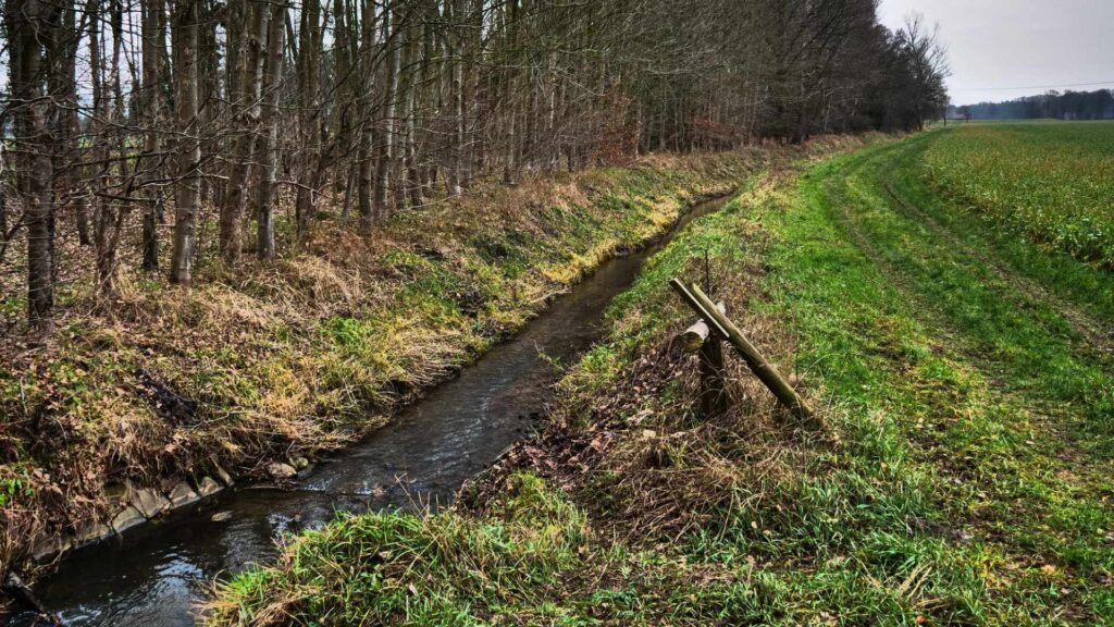 Kraavide puhastamine – oluline samm üleujutuste vältimiseks