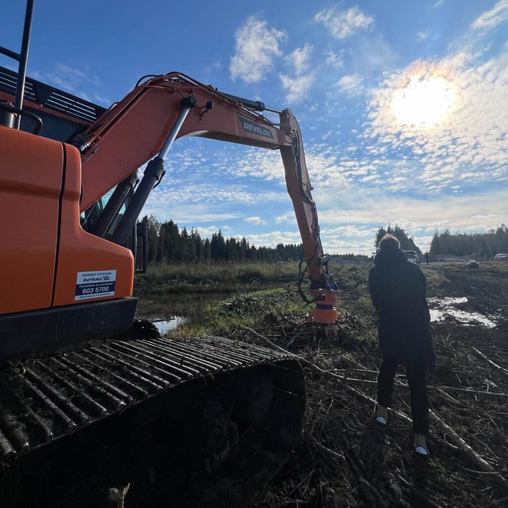 Professionaalsed maahooldusteenused