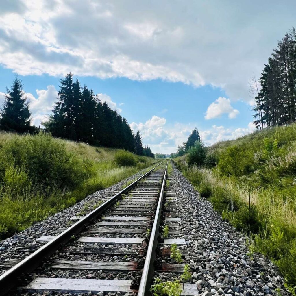 Tartu–Reola raudteelõigu kapitaalremont(raadamistööd)2025-2026