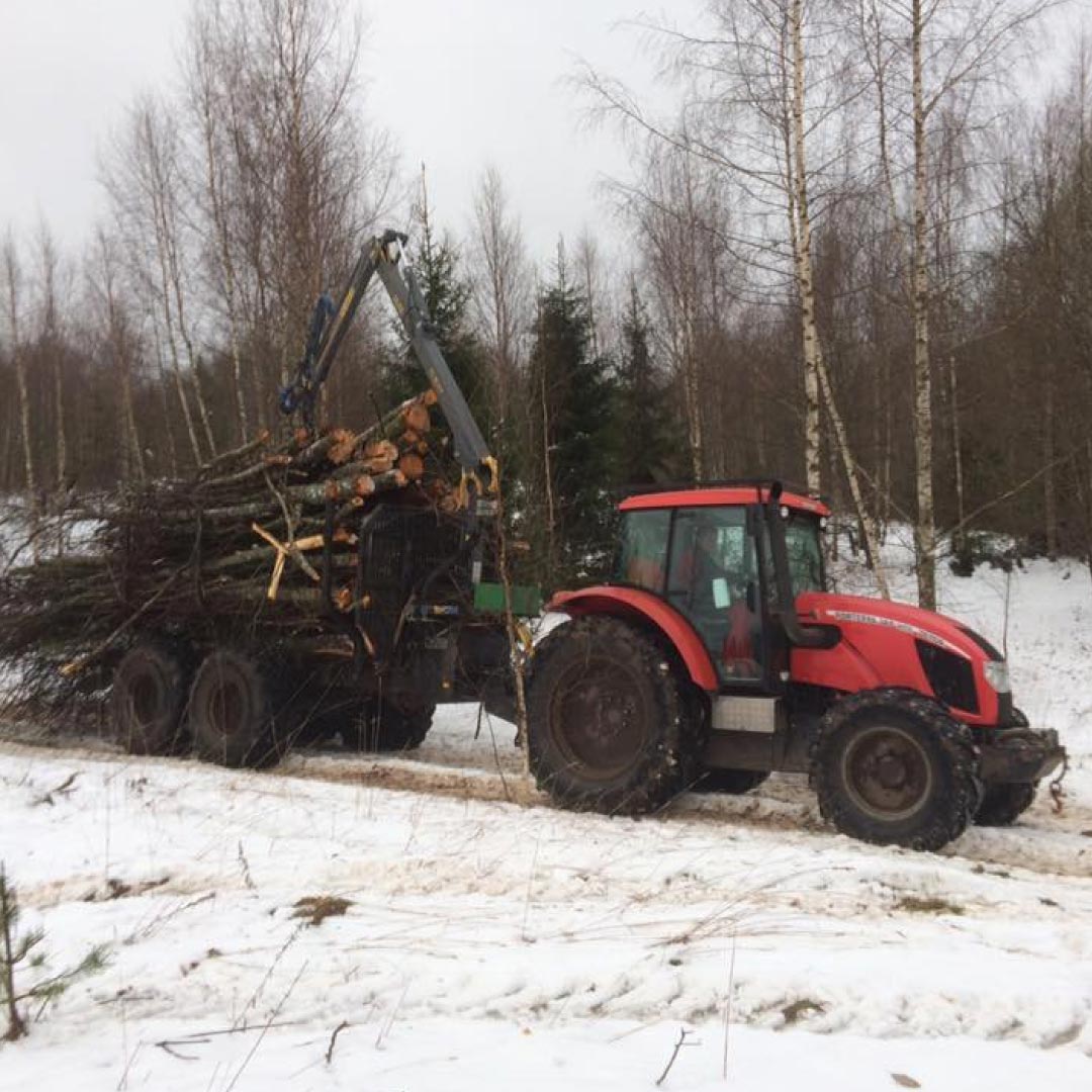 Võsalõikus ja väljavedu üle Eesti