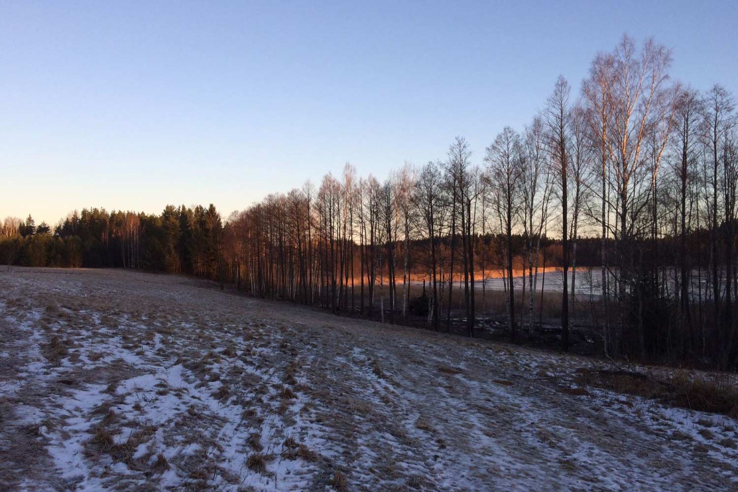 Võsalõikus ja väljavedu üle Eesti