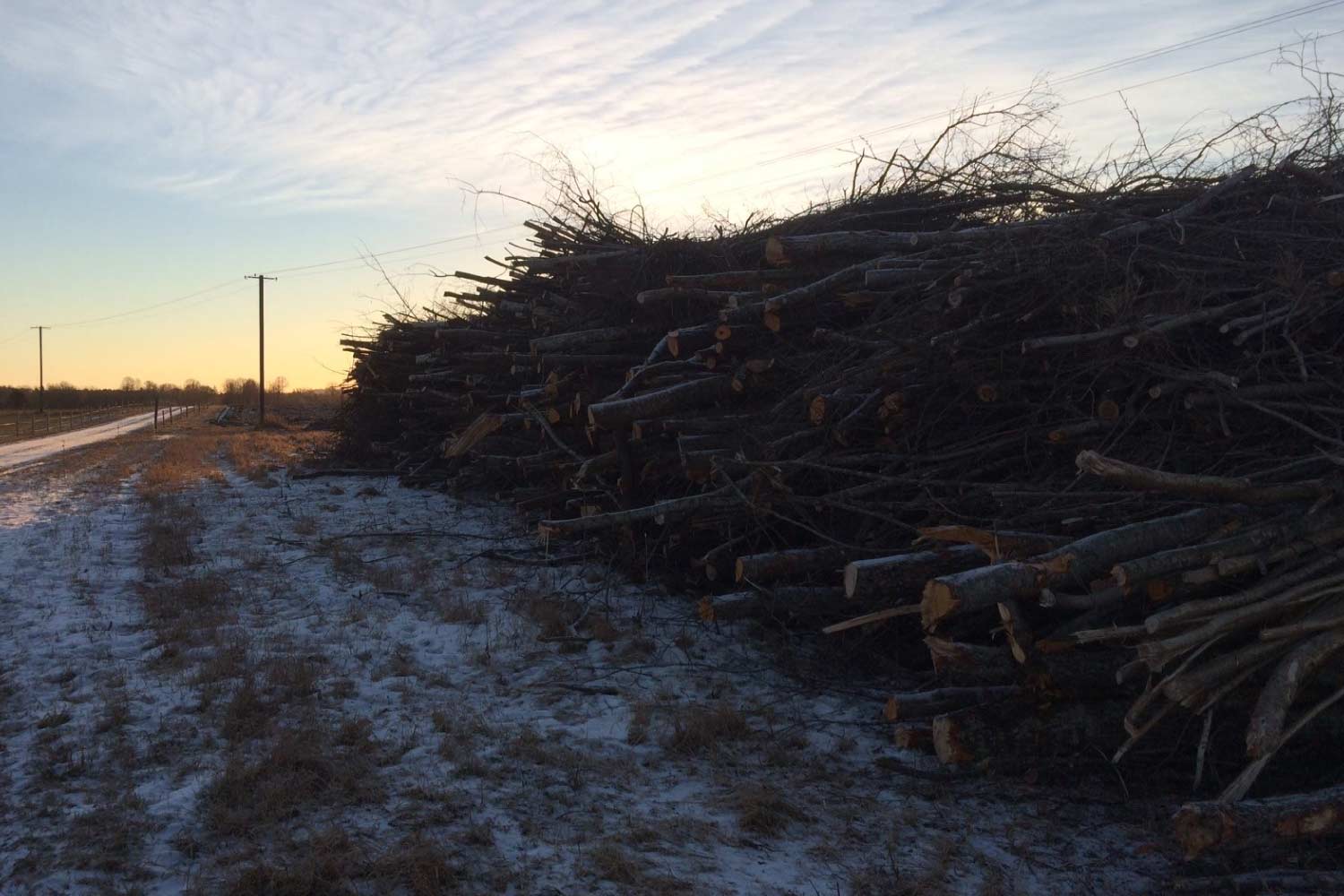 Võsalõikus ja väljavedu üle Eesti