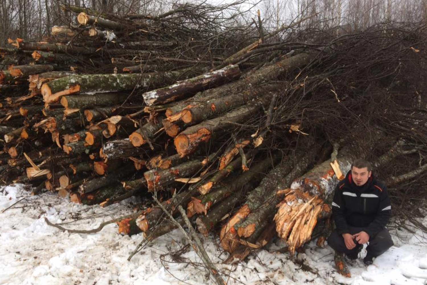 Võsalõikus ja väljavedu üle Eesti