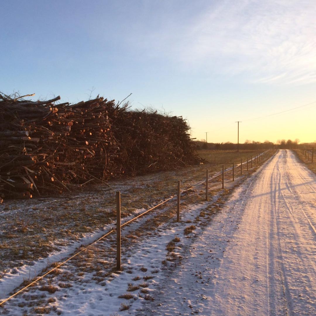 Võsalõikus ja väljavedu üle Eesti